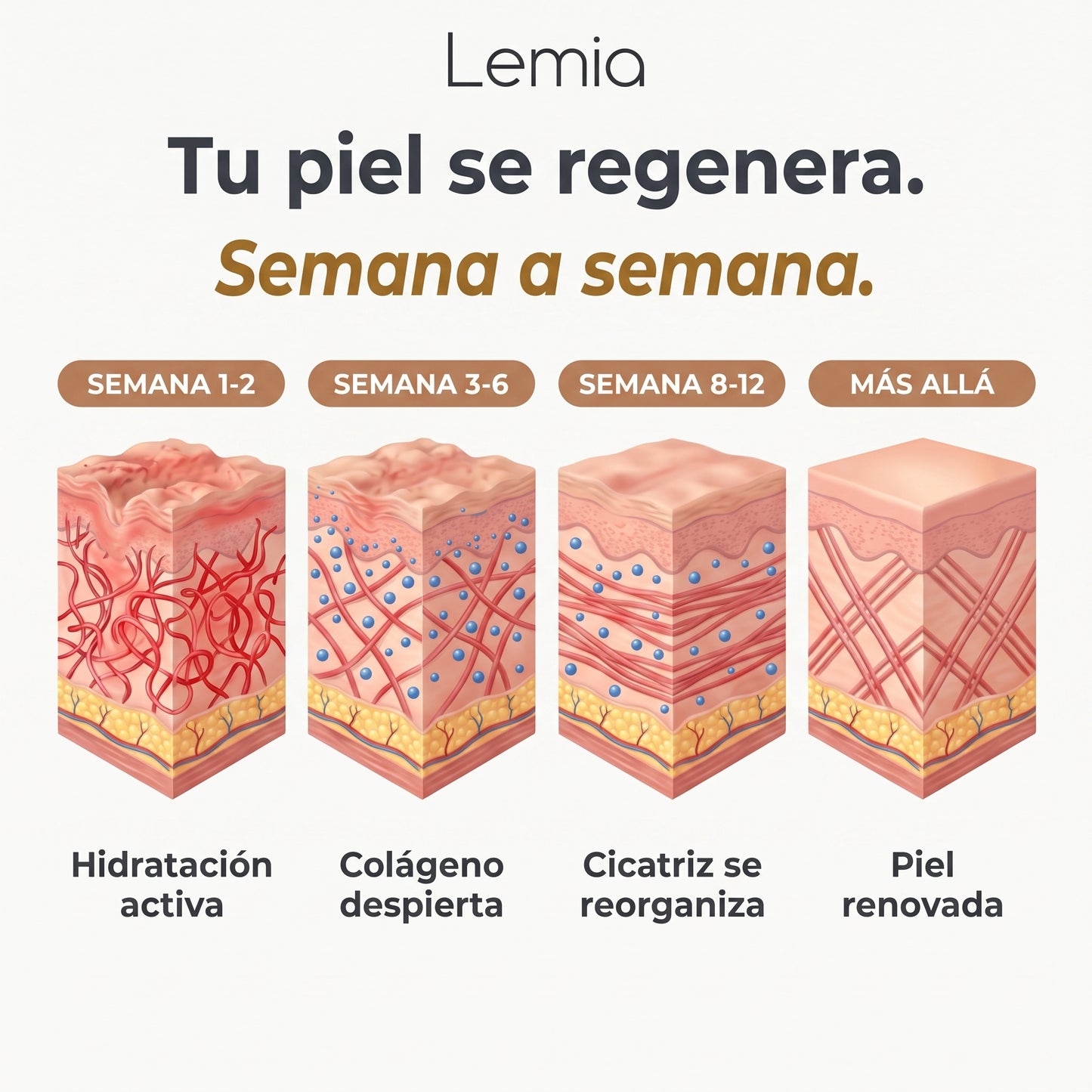Stick Reparador de Cicatrices con Silicona Médica