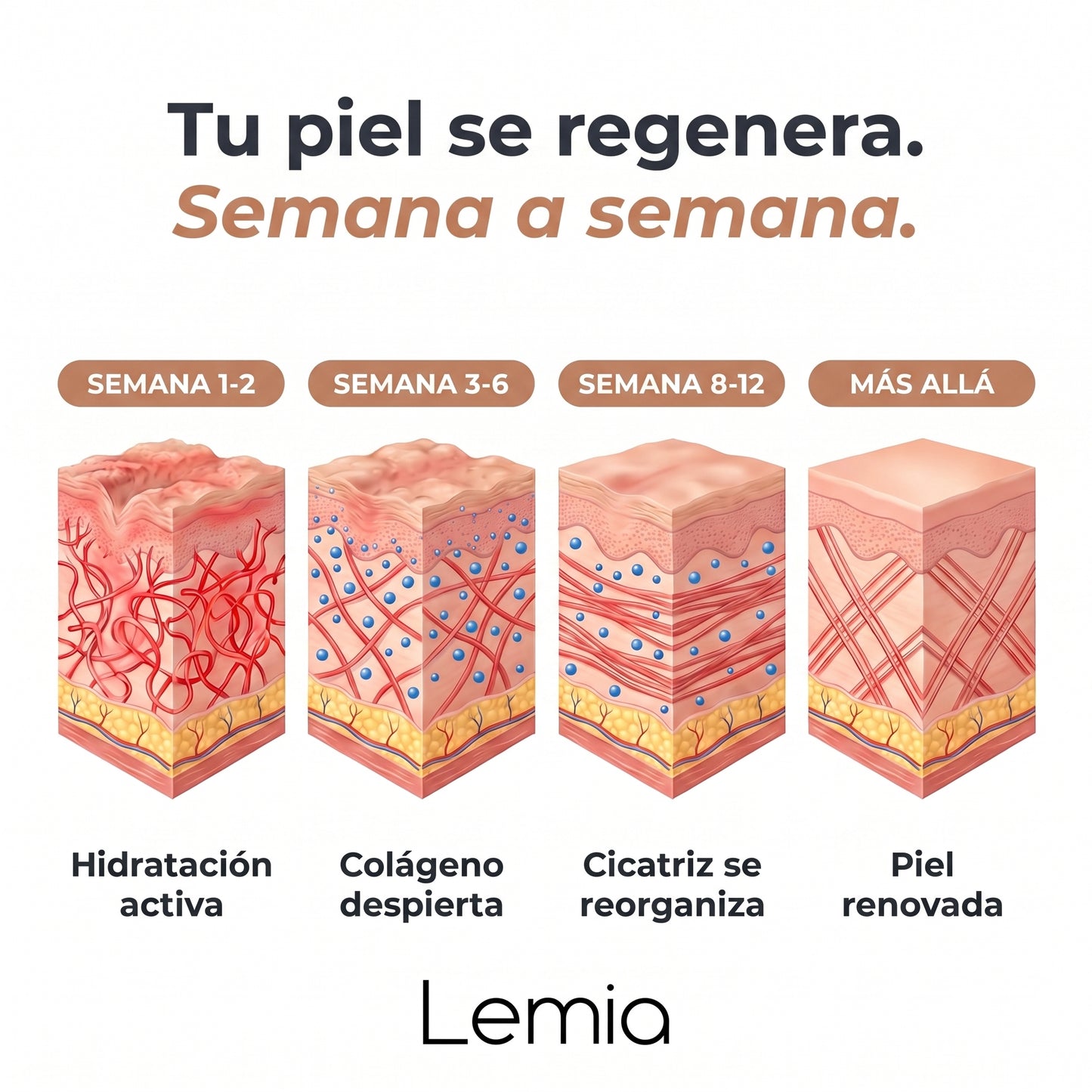 Stick Reparador de Cicatrices con Silicona Médica