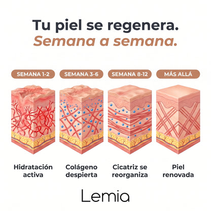 Stick Reparador de Cicatrices con Silicona Médica